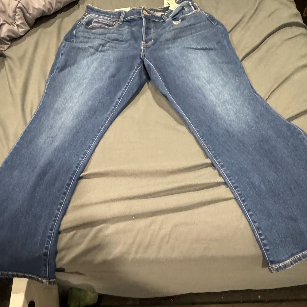 Judy blue dad Jean, size 20W, new with tags